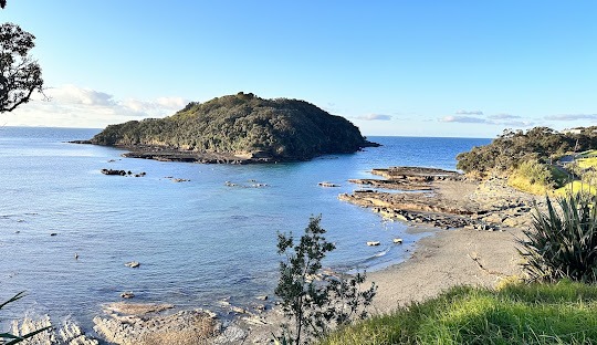 Goat Island Marine Reserve - Leigh